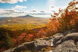 Forbes Image from artictle of a fall mountain scene